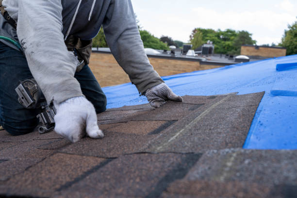 Gutter Installation and Roofing in Nicholson, MS