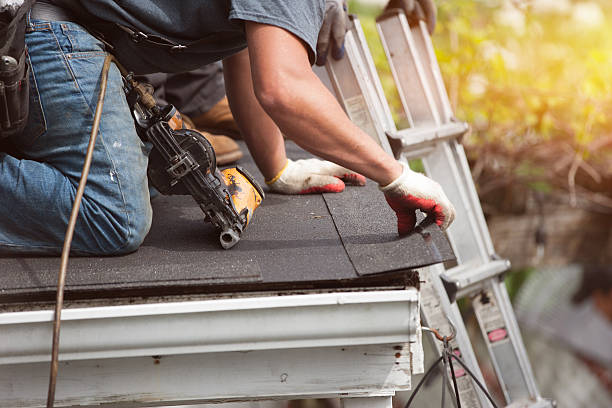 Best Roof Gutter Cleaning  in Nicholson, MS