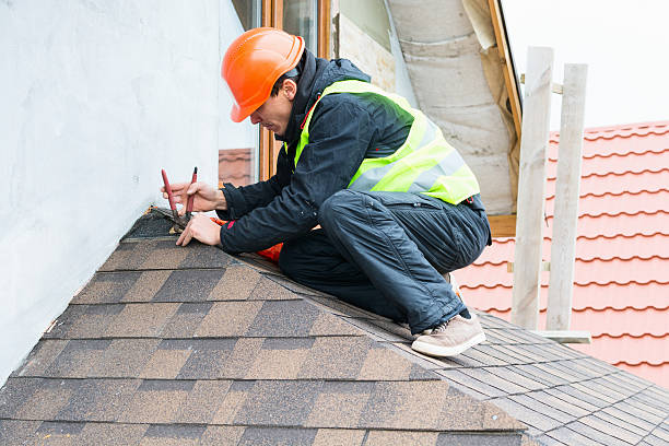 Best Roof Maintenance Services  in Nicholson, MS